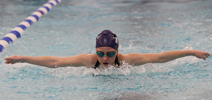 Norwich YMCA Dolphins compete at District Championships